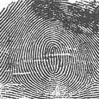 FT-Imploding_Whorl.jpg FT-Imploding_Whorl.jpg