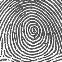 FT-Concentric_Whorl.jpg FT-Concentric_Whorl.jpg